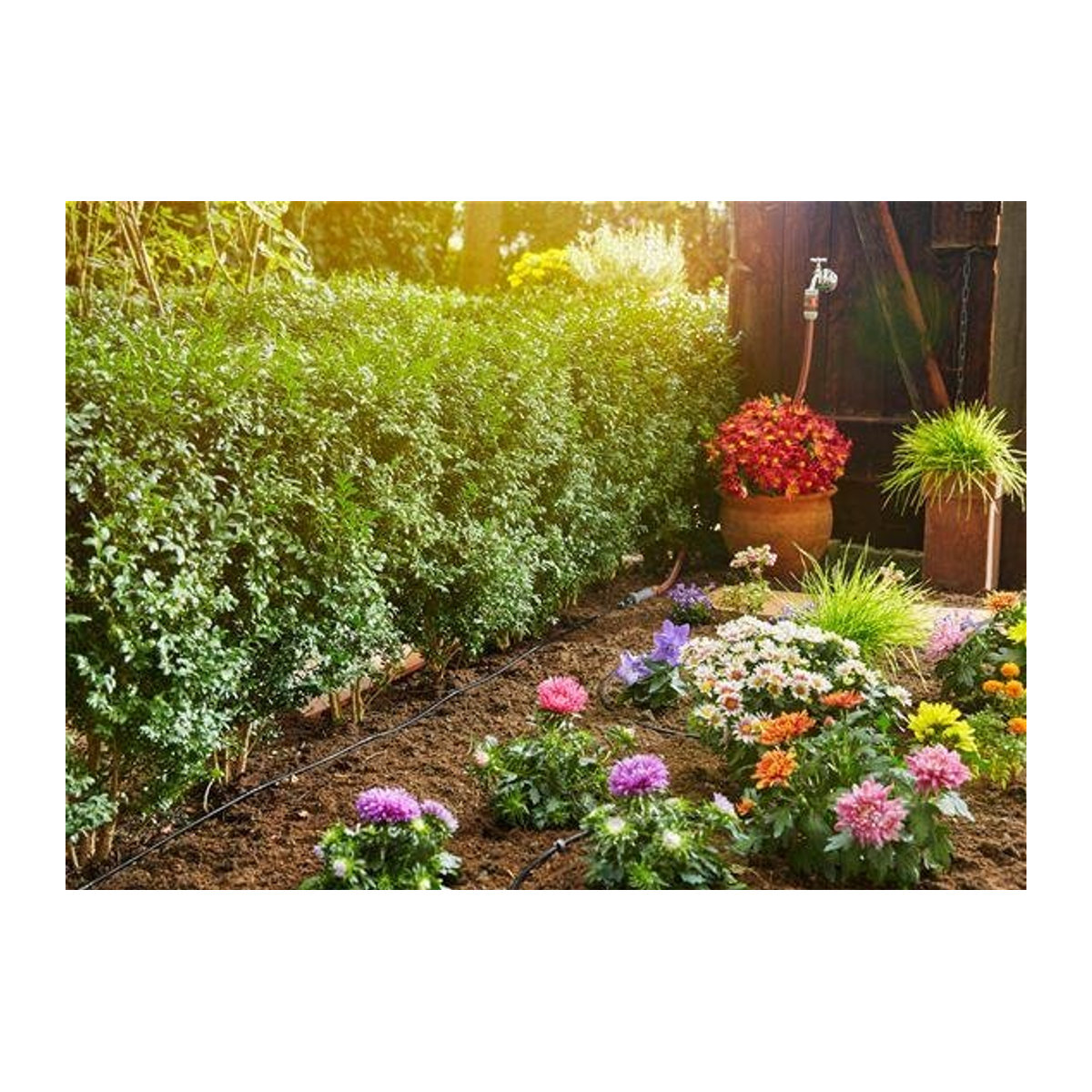 Gardena Micro-Drip-System Tropfbewässerungsleitung für Pflanzreihen in Schwarz und Bunt aus Kunststoff - Bild 3