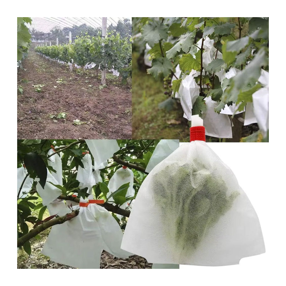 Garten-Obst-Schutztaschen aus Vliesstoff als Anti-Vogel- und Insekten-Barriere für Äpfel, Trauben und Gemüse - Bild 3