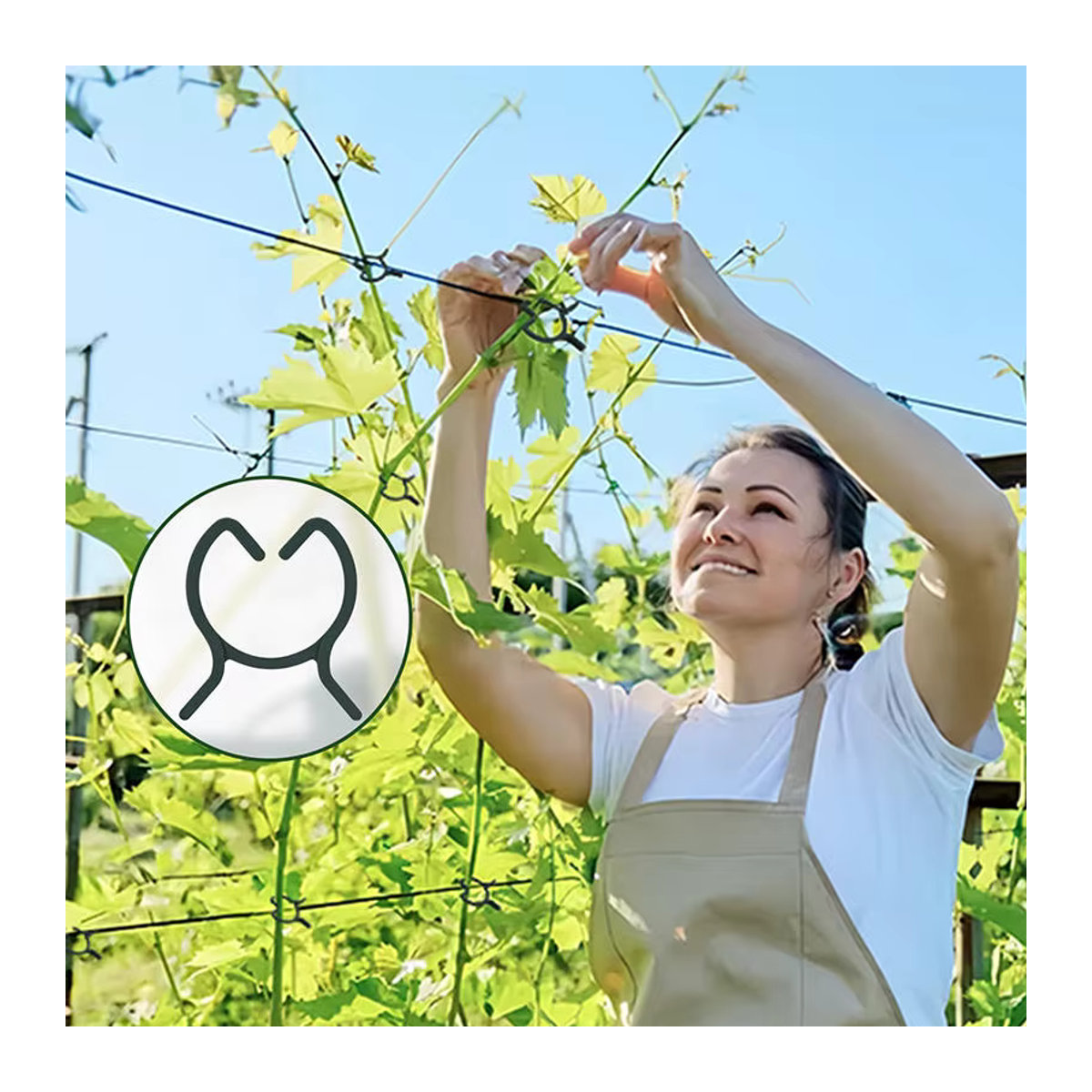 Garten Umreifungs Clips als Pflanzenstütze für Weinreben und Tomaten in Krawattenform aus Kunststoff - Bild 2