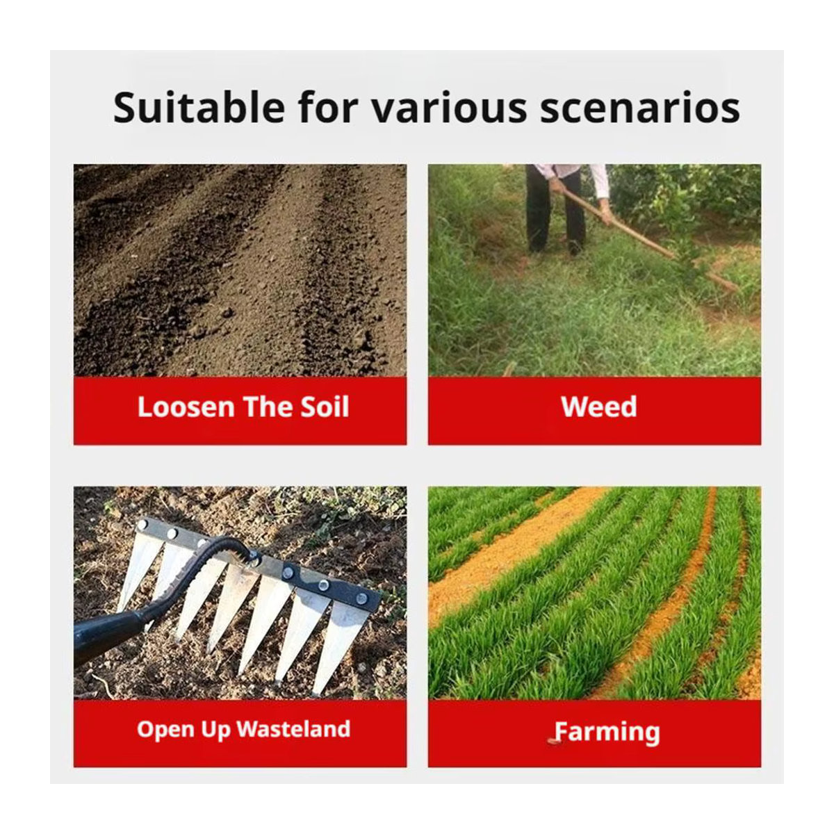 Gartenhandrechen aus Metall mit 5 bis 8 Zähnen für die Landwirtschaft und zum Jäten - Bild 3