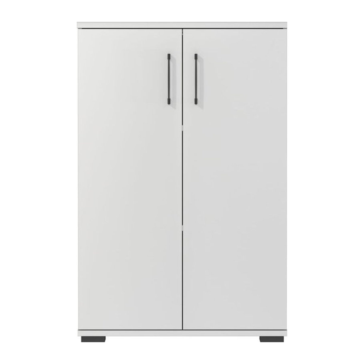 Germania Aktenschrank Profi 2.0 in Grau mit Drehtüren und 2 Einlegeböden, B/H/T: 80 x 123 x 40 cm - Bild 1