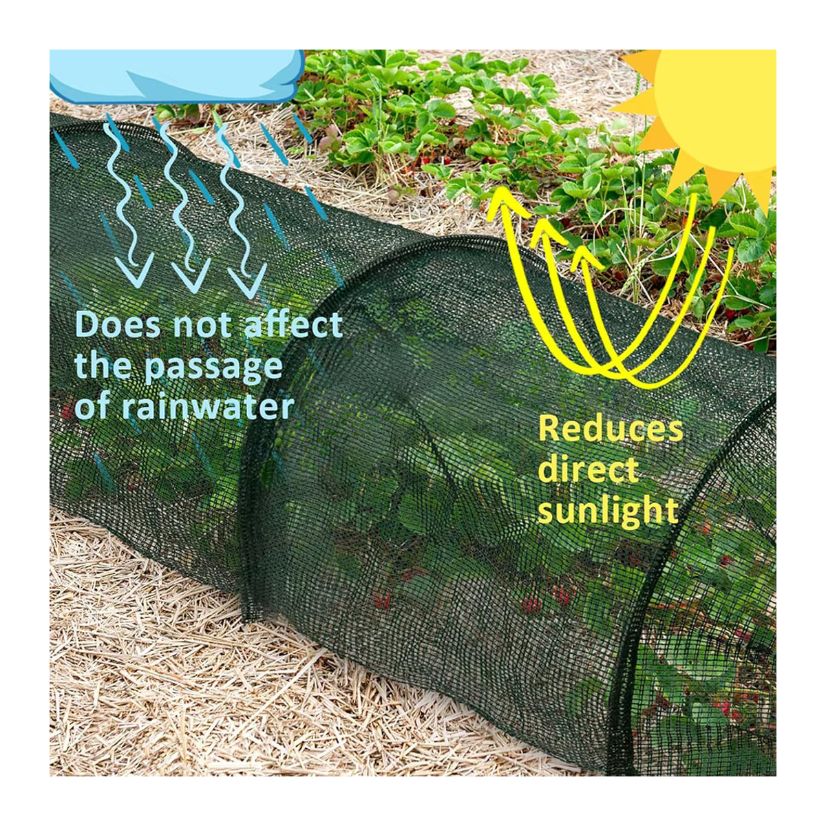 Gewächshaus Sonnenschutz Netz zur Isolierung für Gartenbau und Landwirtschaft in Tunnel-Stil - Bild 6