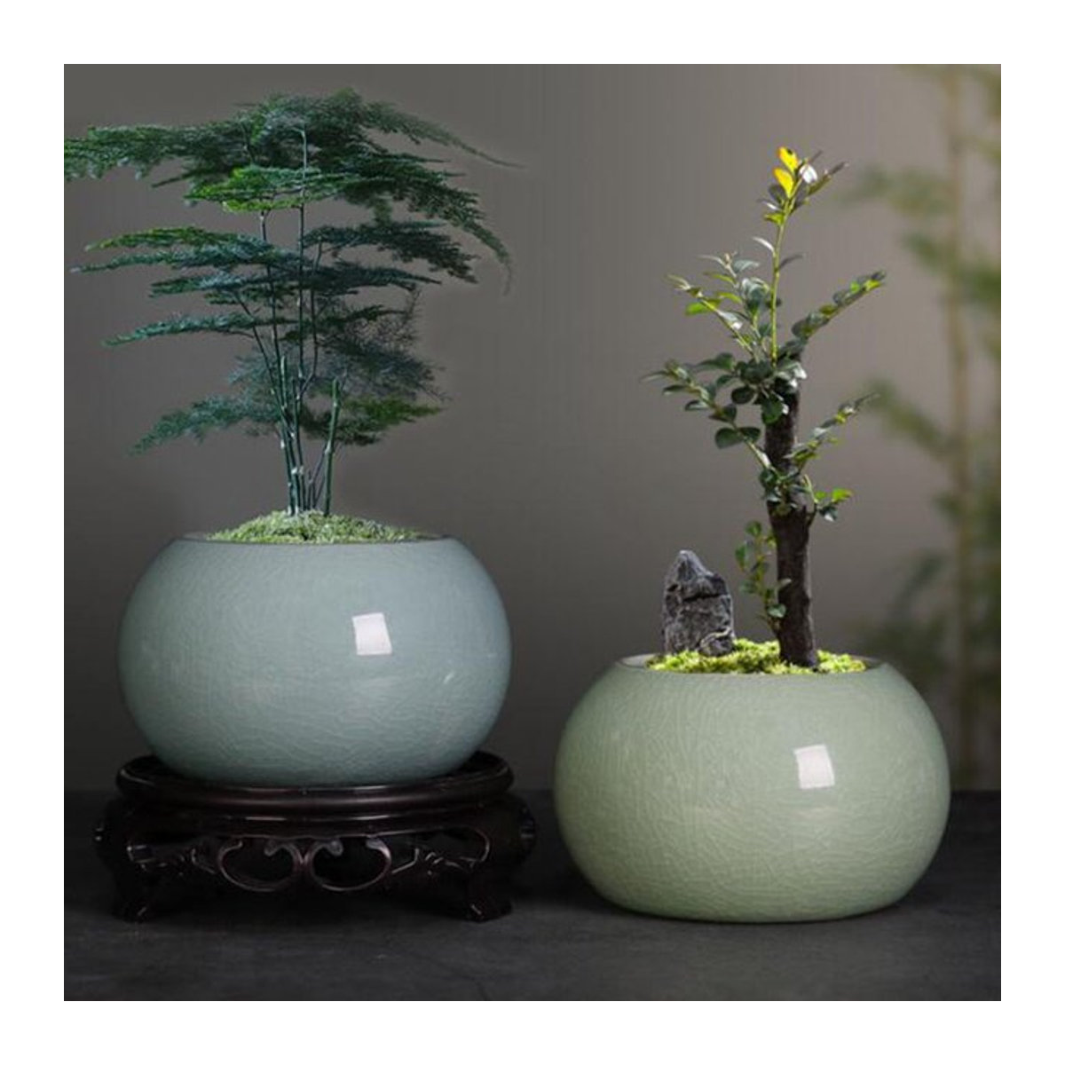 Geyao Keramik Blumentopf in Grün im orientalischen Stil für Bonsai und Topfpflanzen - Bild 1