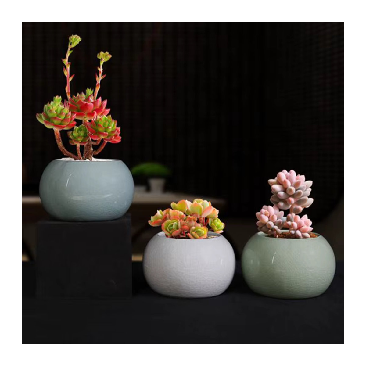 Geyao Keramik Blumentopf in Grün im orientalischen Stil für Bonsai und Topfpflanzen - Bild 2
