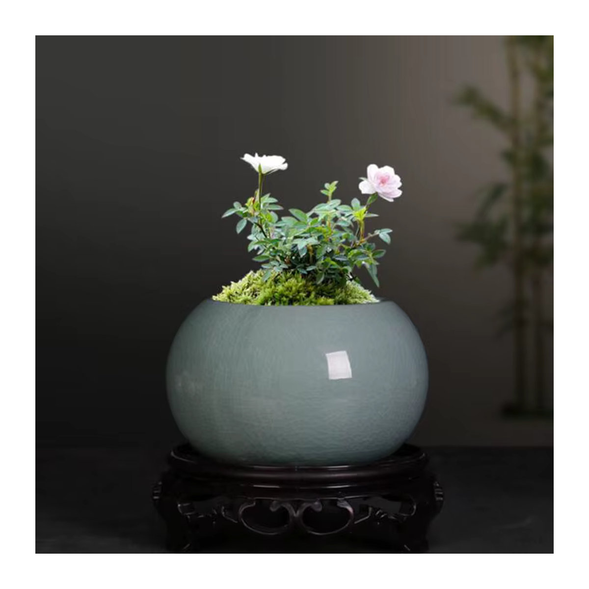 Geyao Keramik Blumentopf in Grün im orientalischen Stil für Bonsai und Topfpflanzen - Bild 3