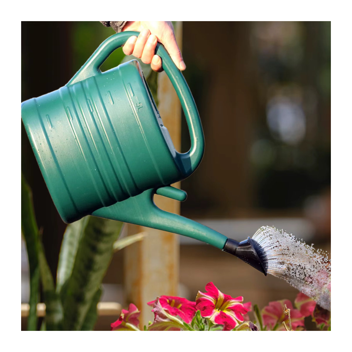 Gießkanne von homyl mit Sprinklerkopf und langem Auslauf für Garten und Pflanzen - Bild 2