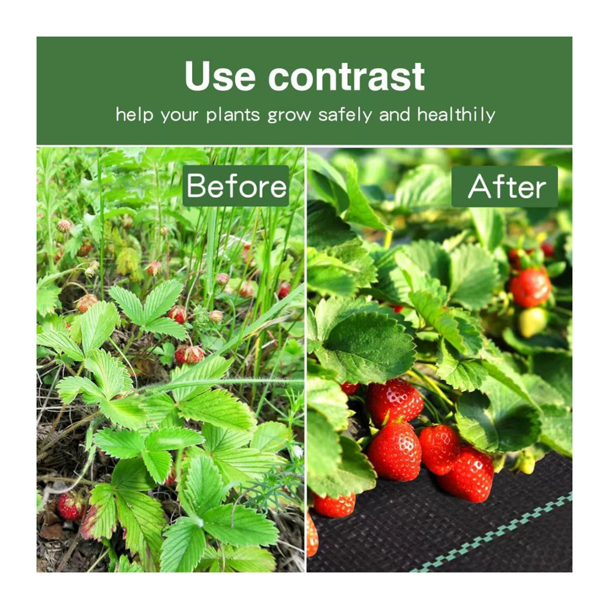 Gift10One Unkrautvlies zur Gartenbewirtschaftung, Schweres Unkrautvlies als Bodenabdeckung, Maße: Breite: 9,75 m, Länge: 1,5 m - Bild 2