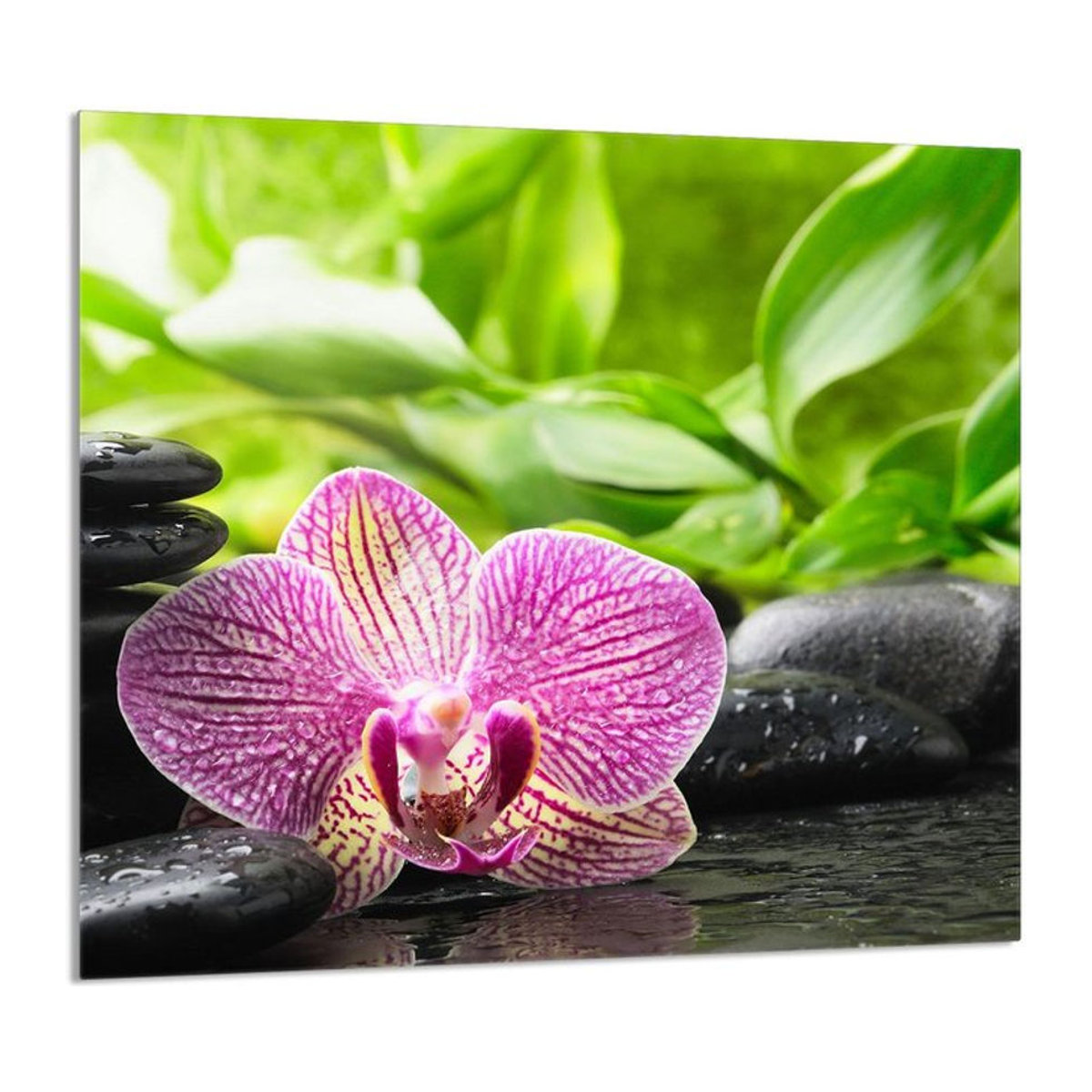 Glaspanel für die Küche mit Orchideen-Design, mehrfarbig, B: 65 cm, H: 60 cm - Bild 5