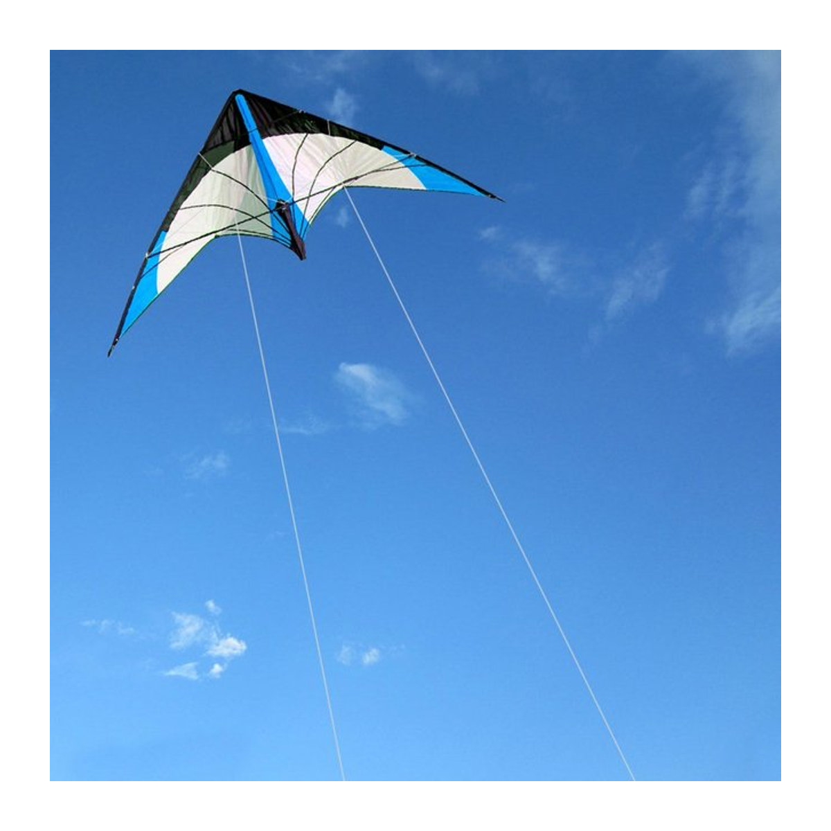 Good Flying Factory Outlet 48-Zoll Dual-Line Stunt-Drachen in Blau mit Griff und Leine - Bild 1