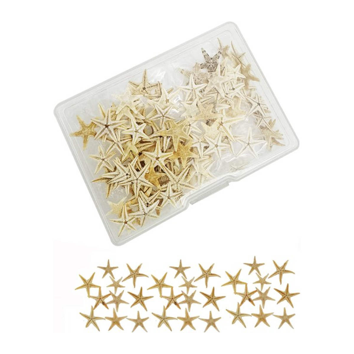 GraceAngie Dekoration Set mit 110 Stück natürlichen Seesternen und Muscheln in Beige für DIY Strand- und Hochzeitsschmuck sowie Aquarium-Dekoration - Bild 1