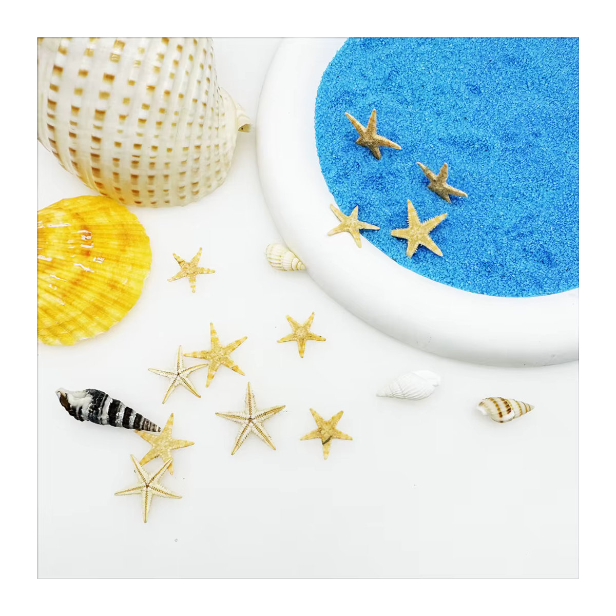 GraceAngie Dekoration Set mit 110 Stück natürlichen Seesternen und Muscheln in Beige für DIY Strand- und Hochzeitsschmuck sowie Aquarium-Dekoration - Bild 2