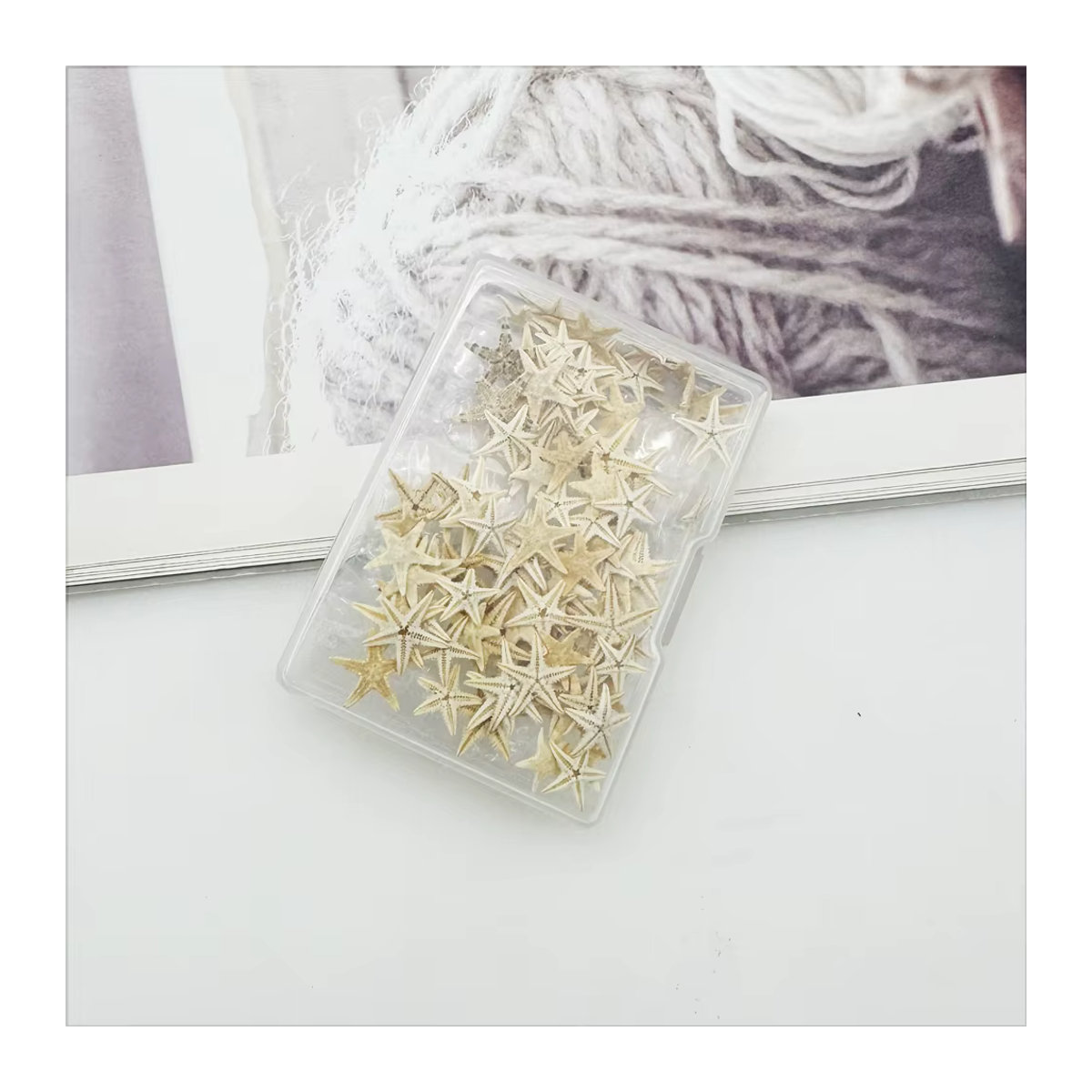 GraceAngie Dekoration Set mit 110 Stück natürlichen Seesternen und Muscheln in Beige für DIY Strand- und Hochzeitsschmuck sowie Aquarium-Dekoration - Bild 3