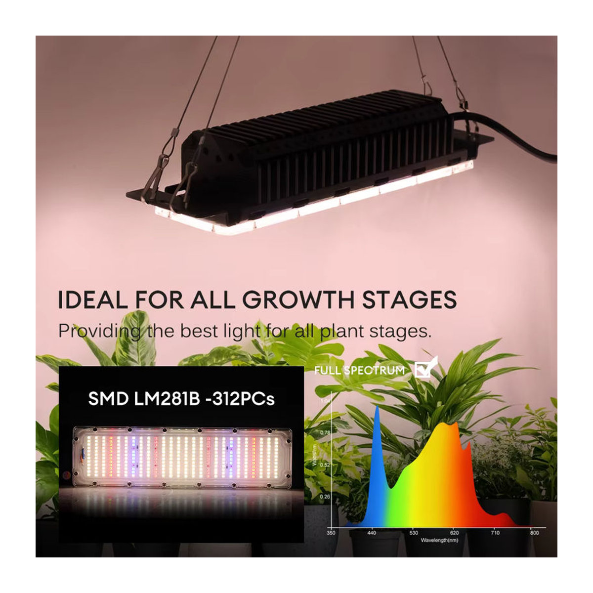 GRAXGROW Vollspektrum-LED-Pflanzenlicht 50 W wasserdicht für Gewächshaus und Hydrokultur - Bild 4