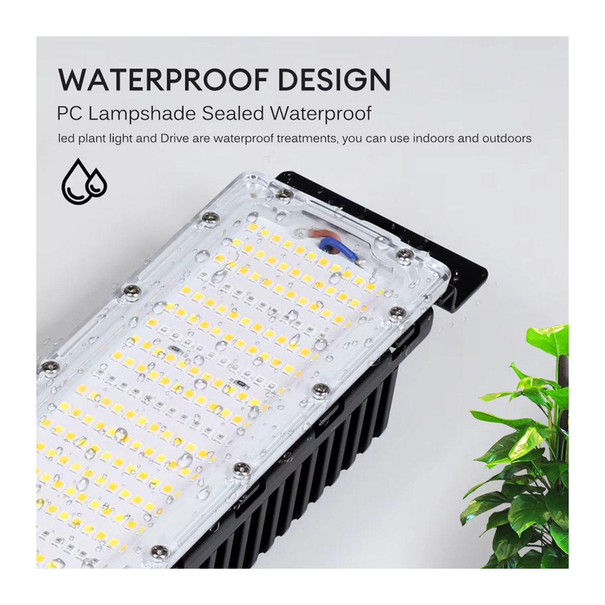 GRAXGROW Vollspektrum-LED-Pflanzenlicht 50 W wasserdicht für Gewächshaus und Hydrokultur - Bild 5