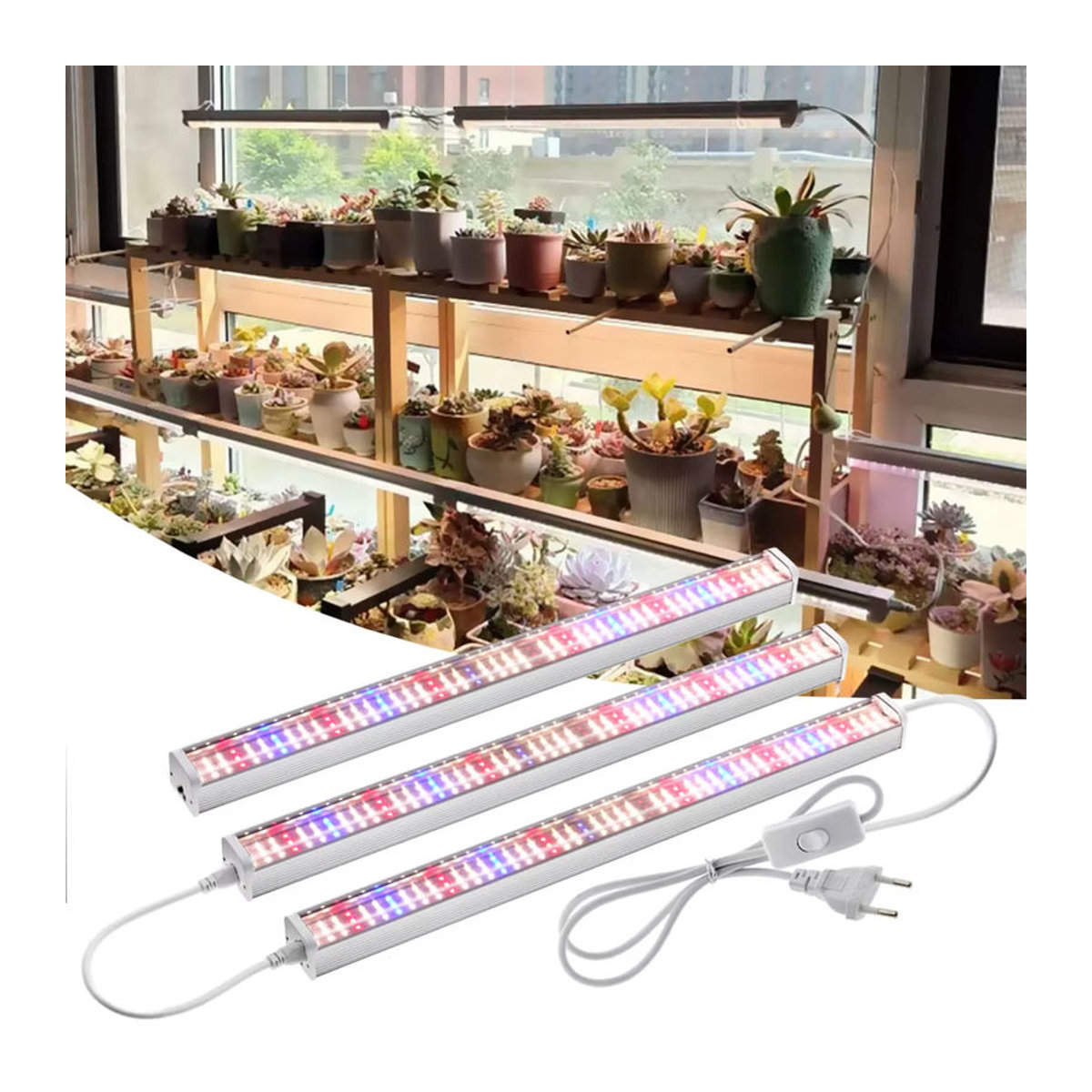 GRAXGROW Vollspektrum-LED-Wachstumsröhre in Neutralweiß für Gewächshäuser und hydroponische Pflanzen - Bild 5