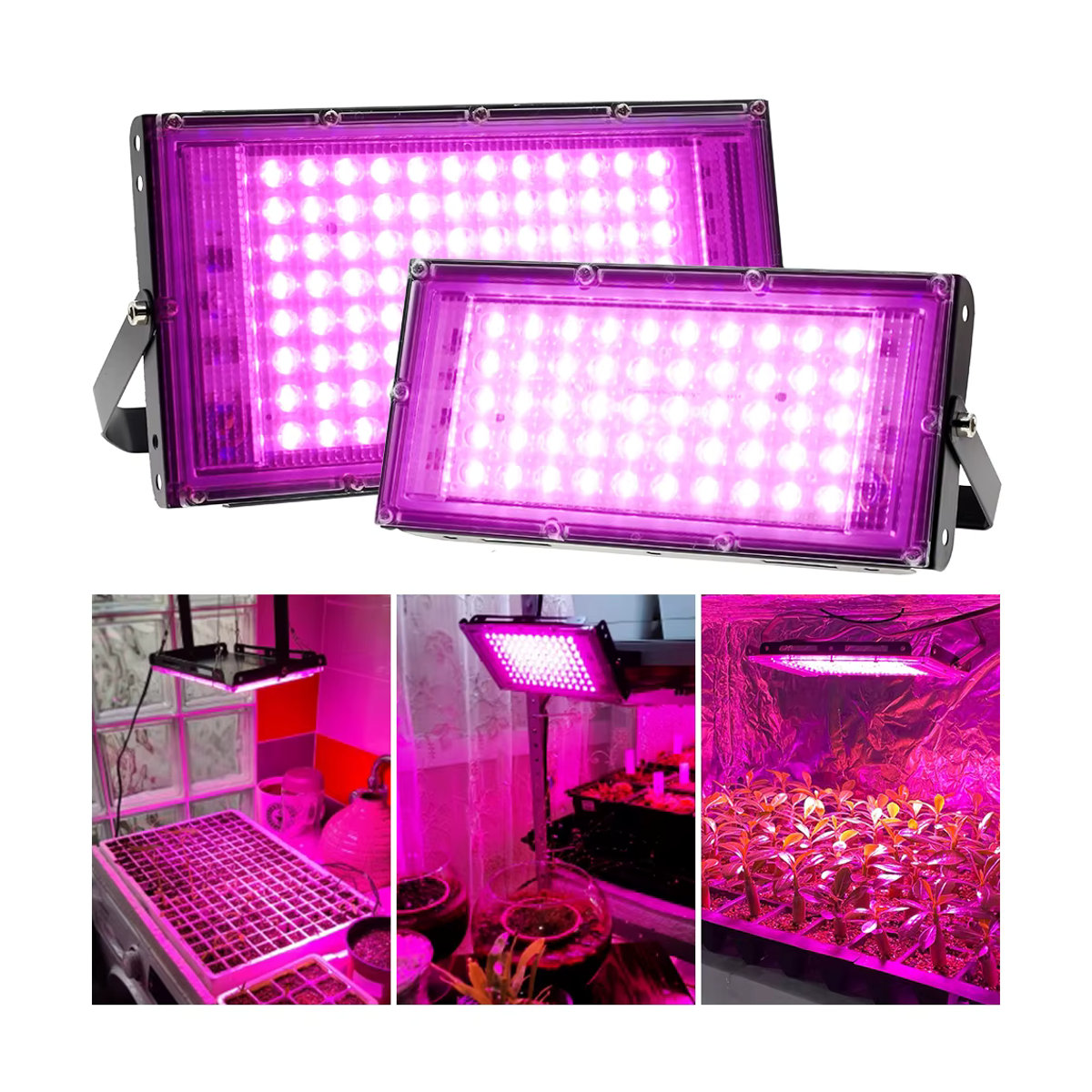 GRAXIDEA Vollspektrum LED Pflanzenlampe mit Ständer und Ein/Aus-Schalter für Gewächshaus und Hydrokultur, AC220V Phyto Lampe - Bild 2