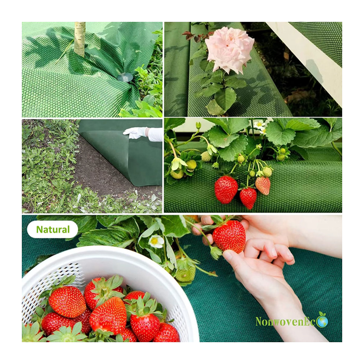 Grün-schwarzes perforiertes Unkrautvlies mit 1 Loch pro Reihe, Breite: 0,6 m, inklusive 10 Bodennägeln zur Unkrautbarriere für deinen Garten - Bild 5