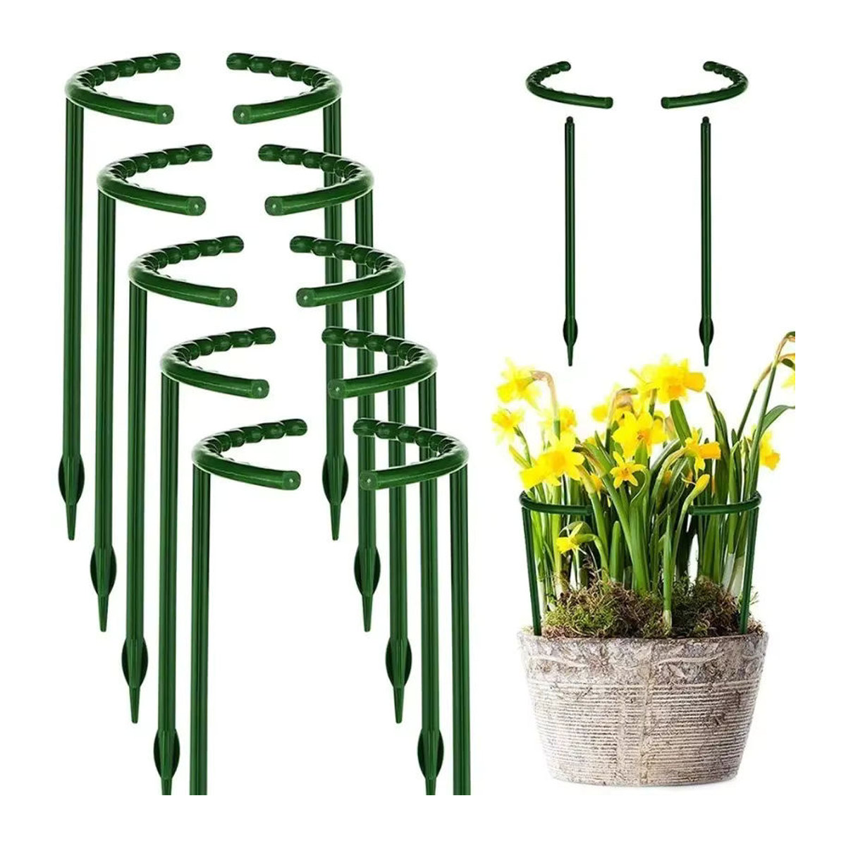 Grüner Kunststoff-Pflanzenstützring als Ständer für Gartenpflanzen und Gewächshäuser - Bild 2