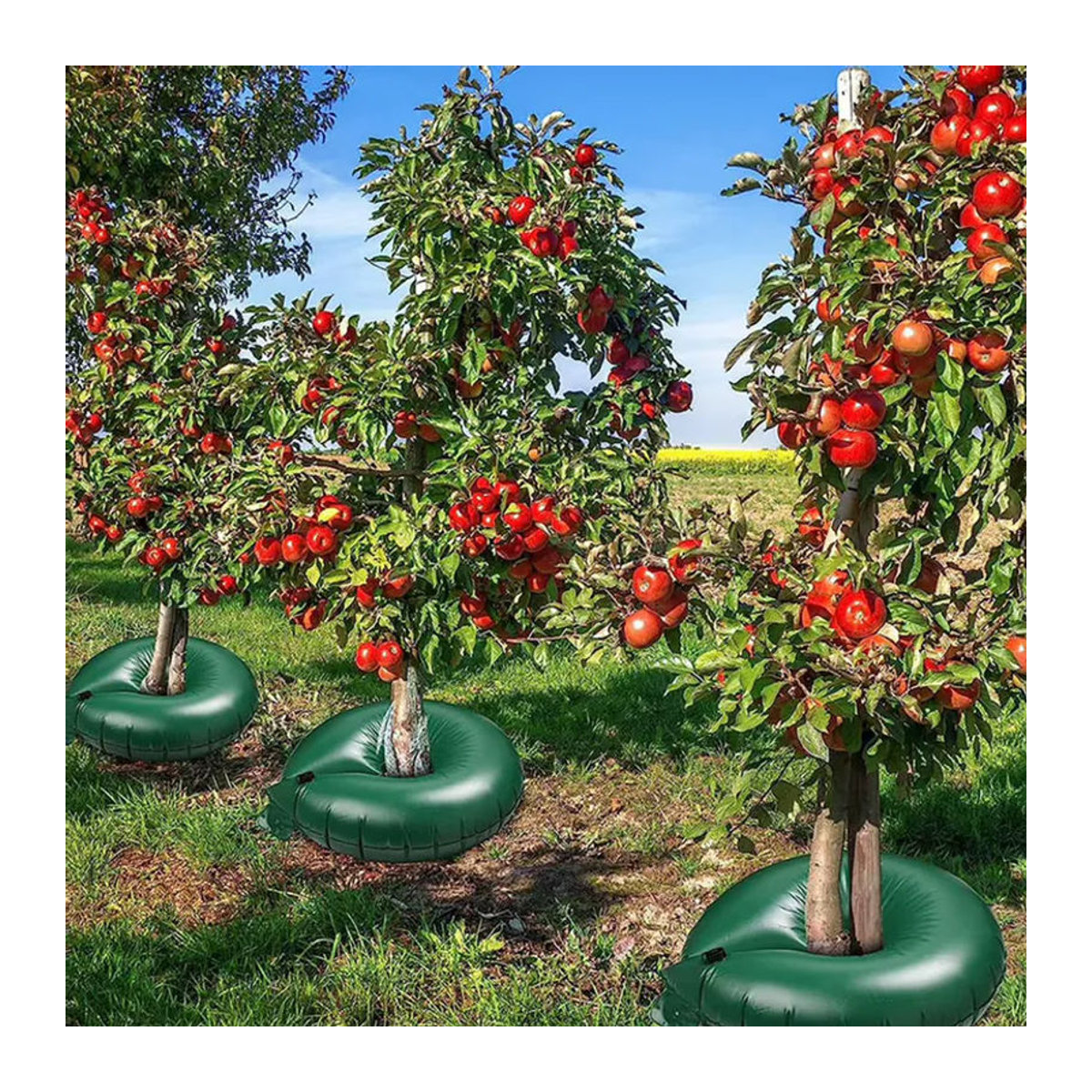 Grüner PVC-Baumbewässerungsbeutel für Selbstbewässerungssysteme und tropfende Gartenbewässerung zur Baumbepflanzung - Bild 3