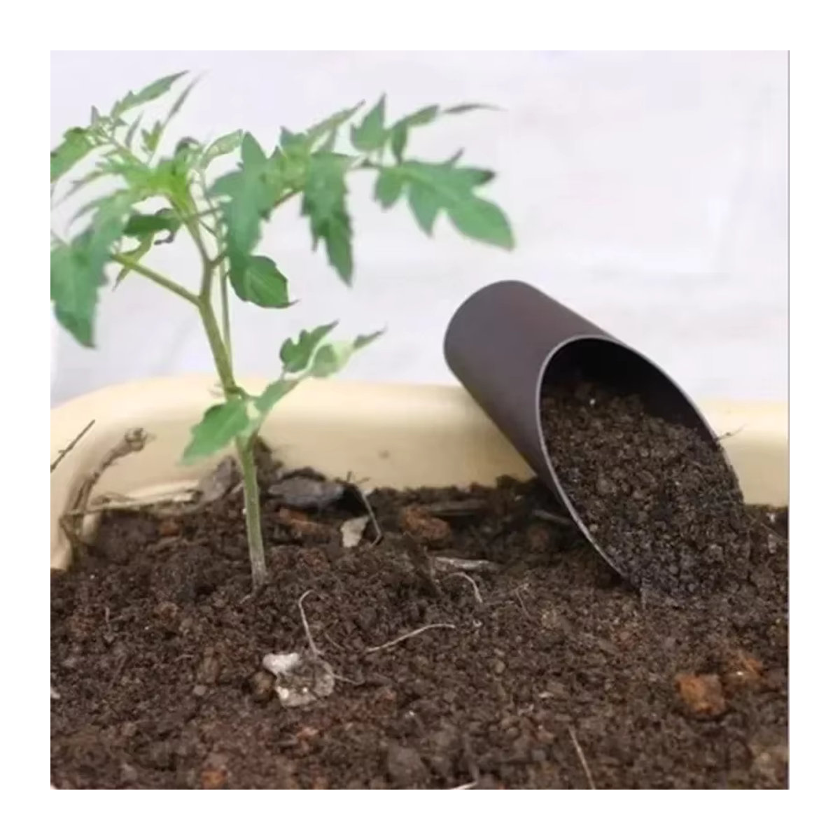 Grüner Sukkulentenbecher aus Kunststoff für deine Topfpflanzen und Gartenarbeit - Bild 4