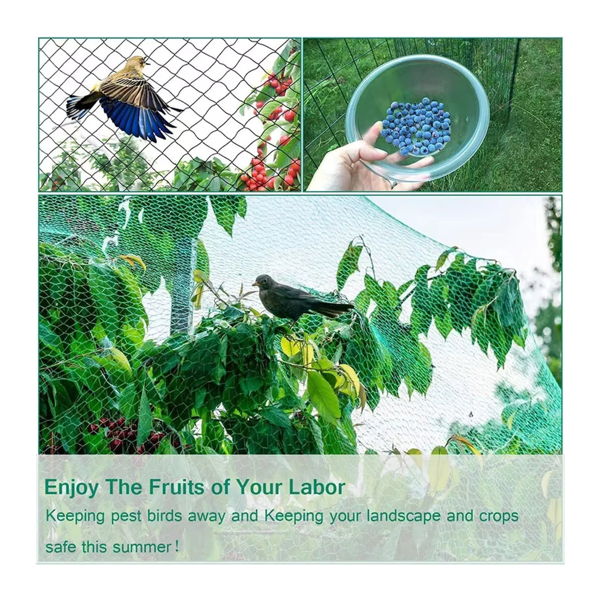 Grünes Anti-Vogelschutznetz aus Mesh zum Schutz von Pflanzen und Obstbäumen vor Vögeln, Hirschen und Geflügel - Bild 5