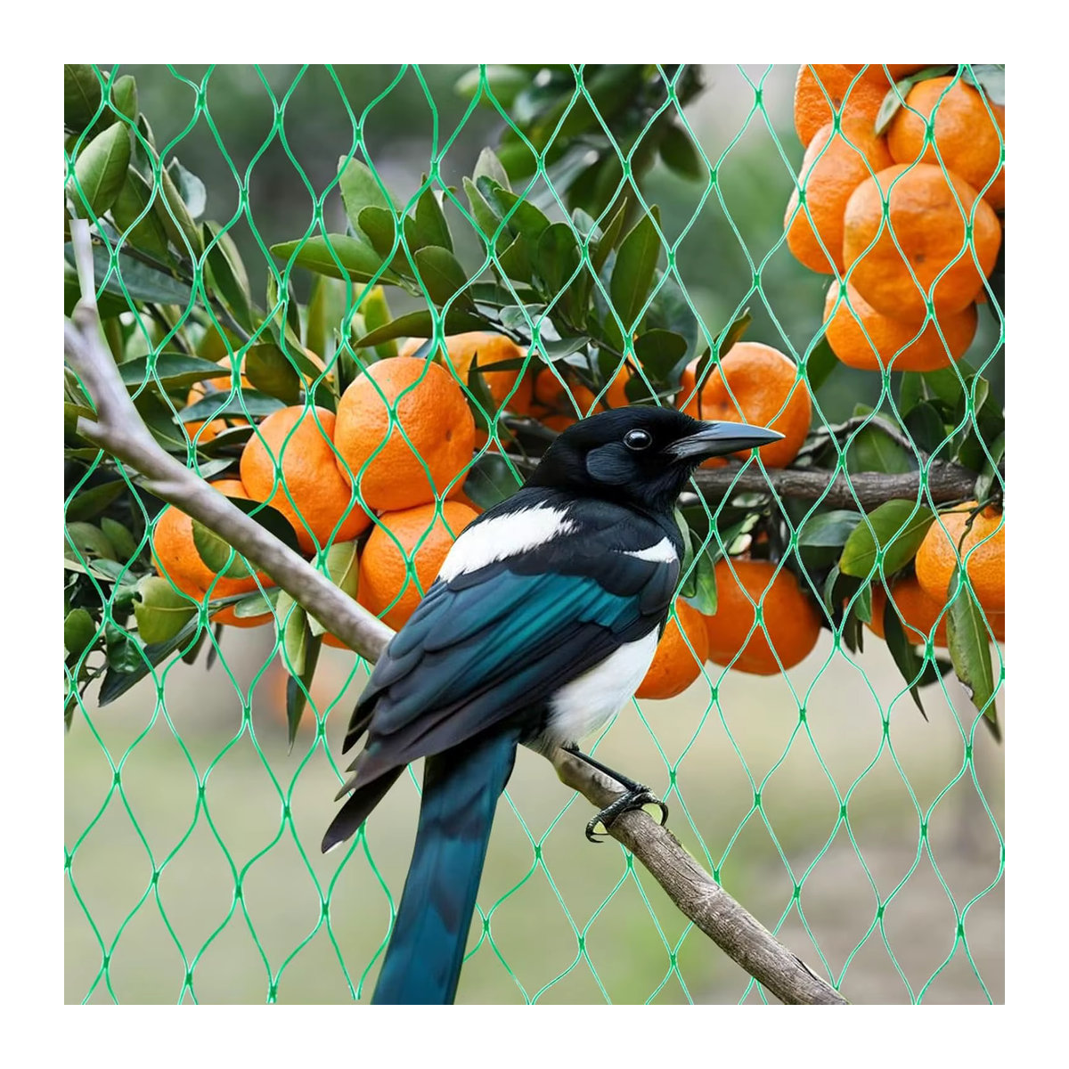 Grünes Gartennetz als Vogelschutznetz für Pflanzen, Teiche, Obst und Gemüse - Bild 4