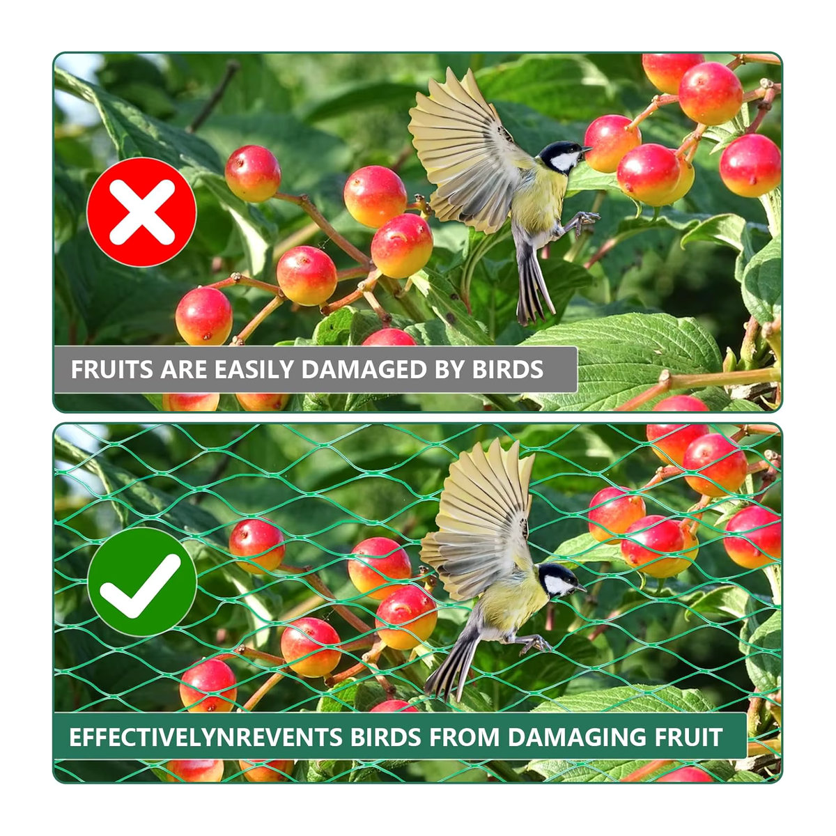 Grünes Gartennetz als Vogelschutznetz für Pflanzen, Teiche, Obst und Gemüse - Bild 5