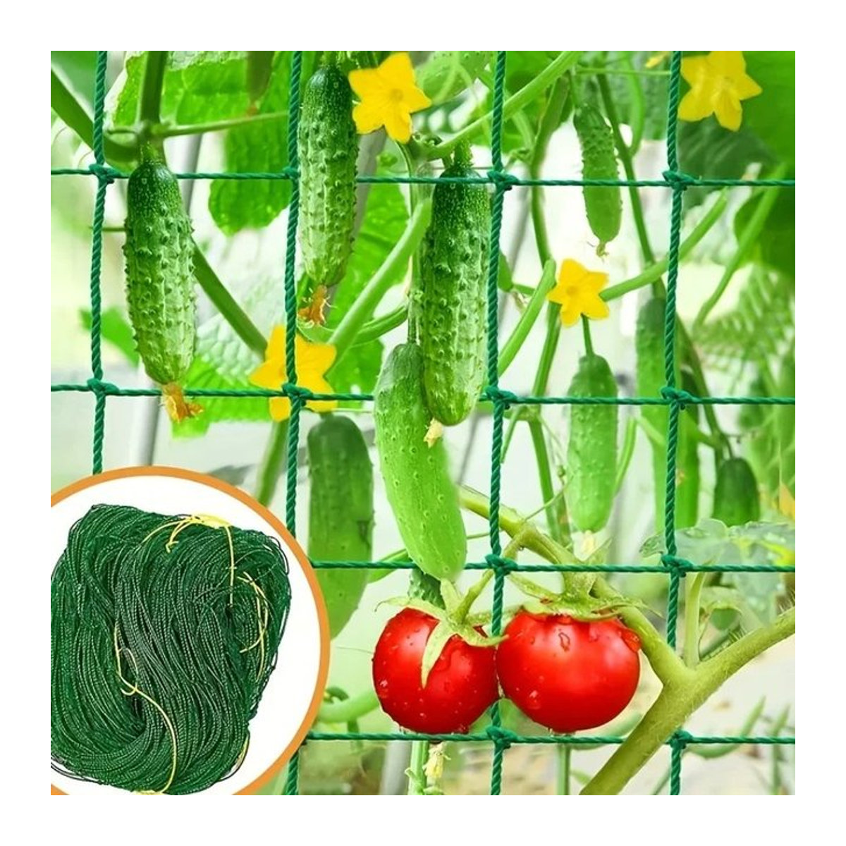 Grünes Kletternetz für Gartenarbeit als Rankhilfe für Gurken und Kürbis - Bild 1