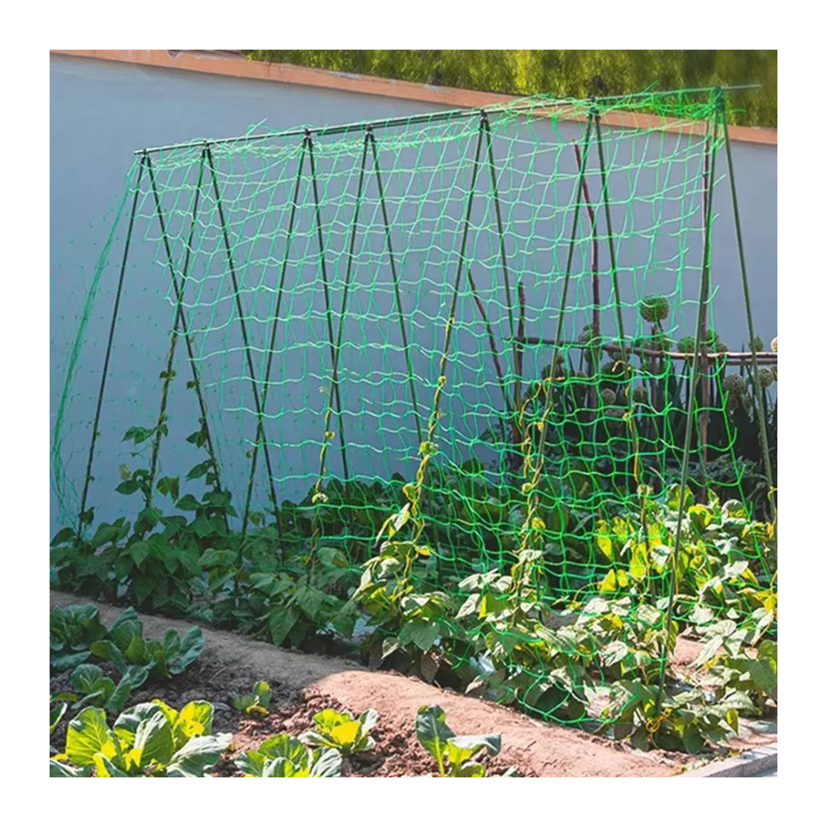 Grünes Kletternetz für Gartenarbeit als Rankhilfe für Gurken und Kürbis - Bild 2