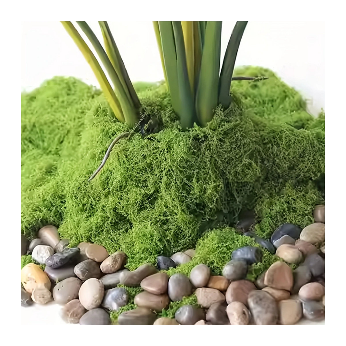 Grünes künstliches Moos für DIY-Handwerk und Dekoration, 50 g - Bild 1