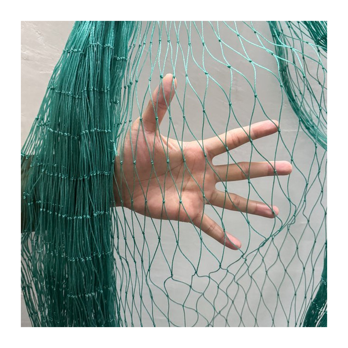 Grünes Nylon-Vogelnetz als Obstgartennetz und Schutznetz für Geflügel, Garten oder Fischteich - Bild 1