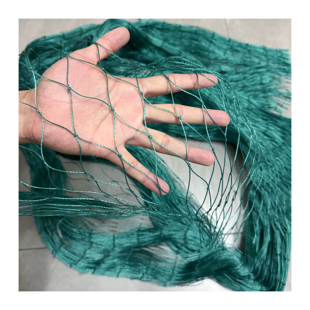 Grünes Nylon-Vogelnetz als Obstgartennetz und Schutznetz für Geflügel, Garten oder Fischteich - Bild 3