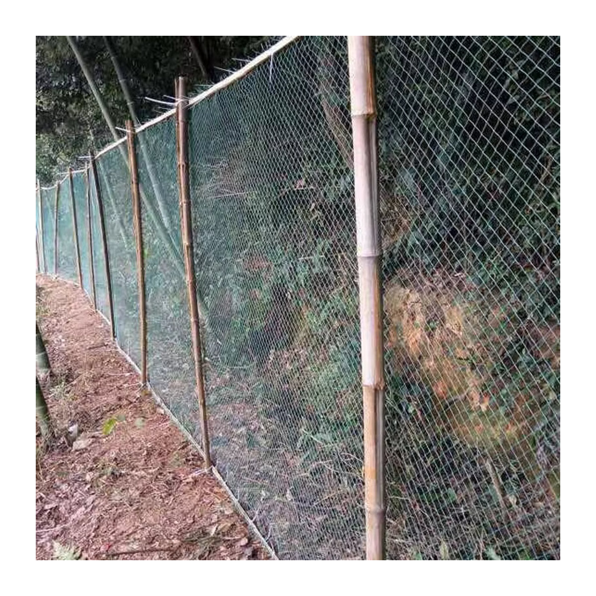 Grünes Nylon-Vogelnetz als Obstgartennetz und Schutznetz für Geflügel, Garten oder Fischteich - Bild 5