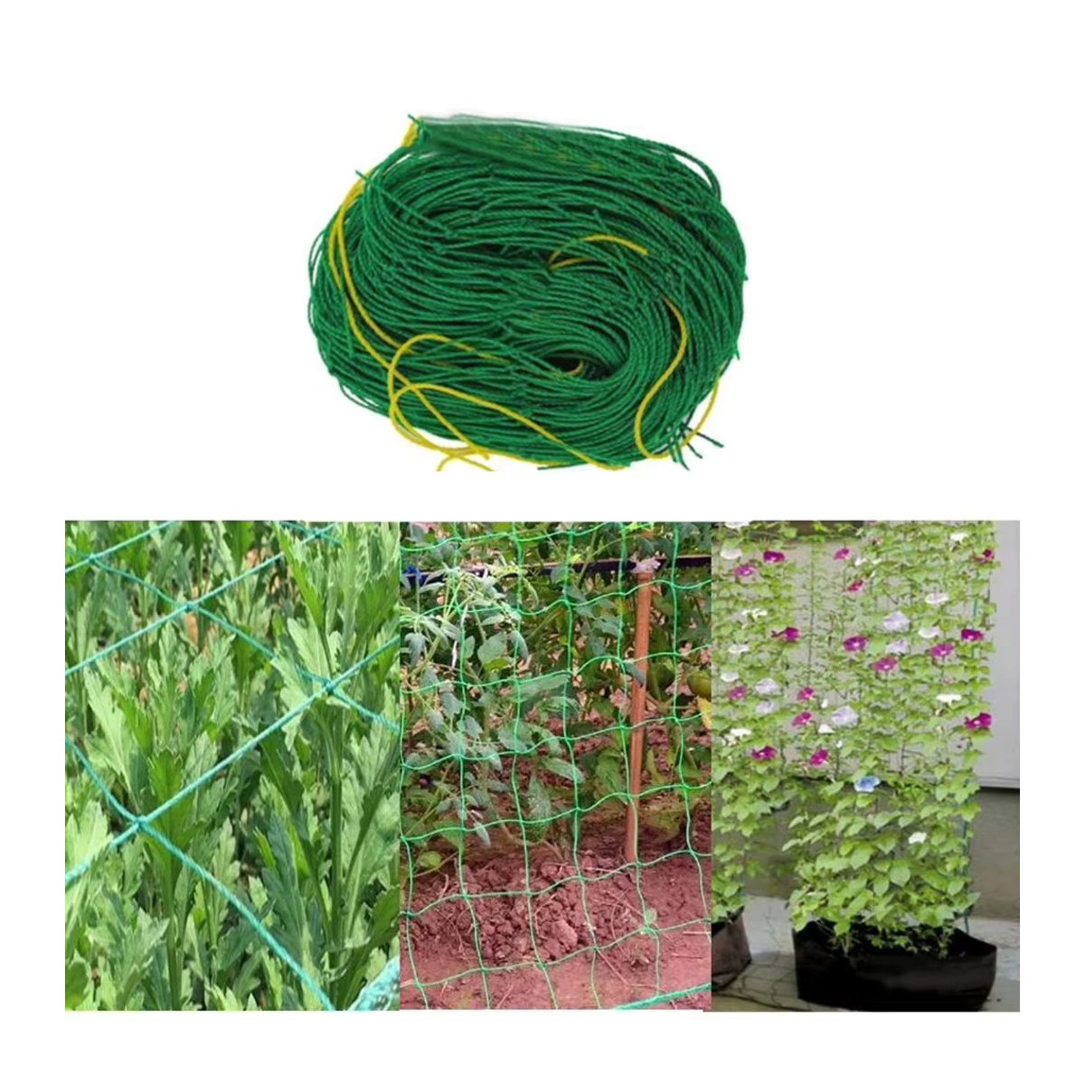 Grünes Rattan-Kletternetz als Gartenpflanzen-Stütze für Trauben und Bohnen - Bild 3
