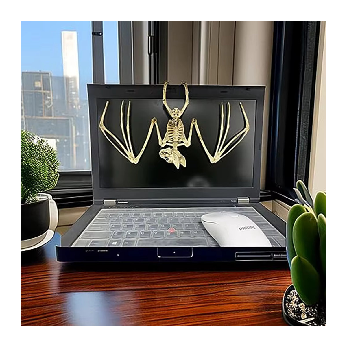 Gruseliges Fledermaus-Skelettmodell aus Kunststoff für deine Halloween-Dekoration in Weiß - Bild 4