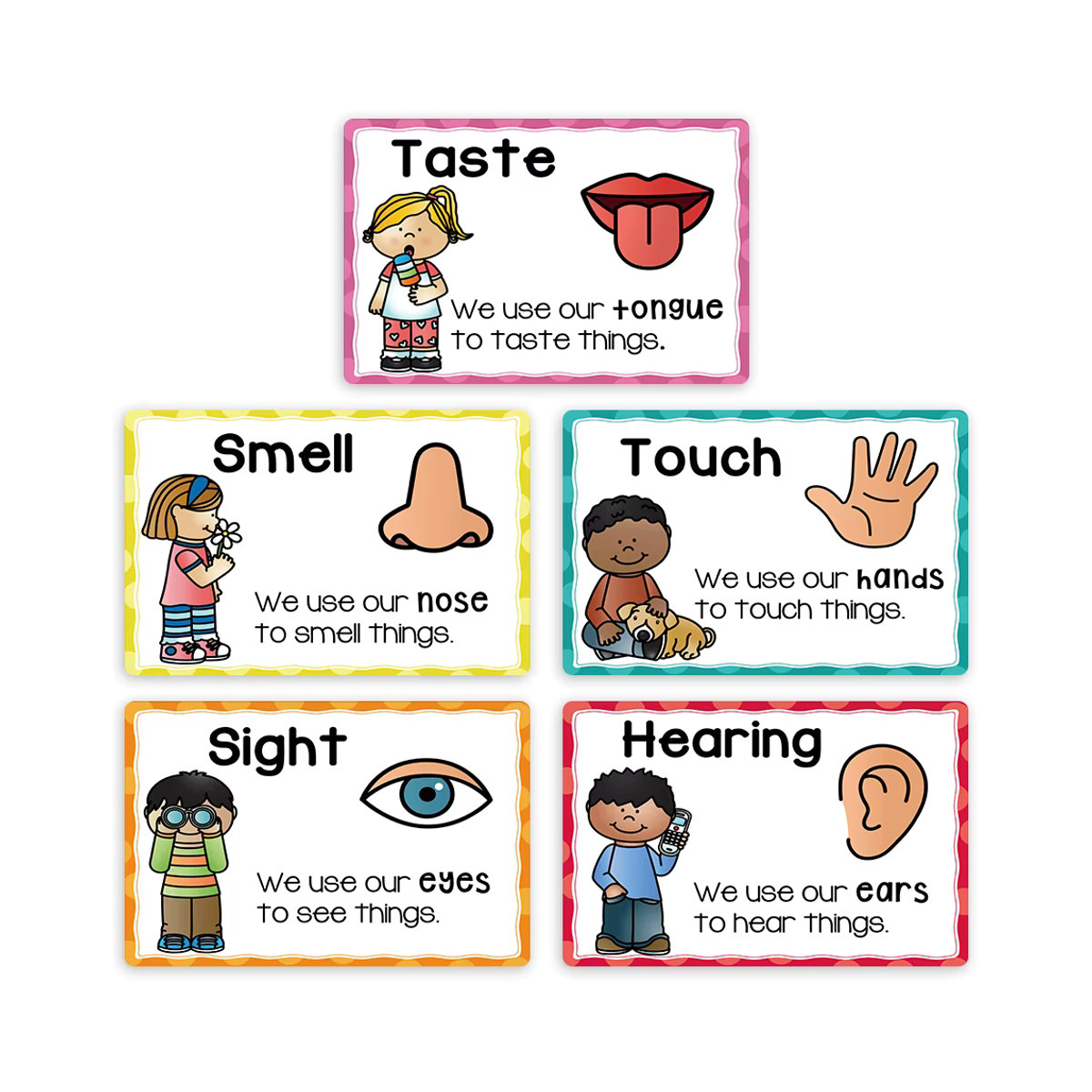 GSF Englisch-Lernposter für Kinder als pädagogisches Montessori-Lehrmaterial in mehrfarbig, B: 21 cm, H: 28,5 cm - Bild 4
