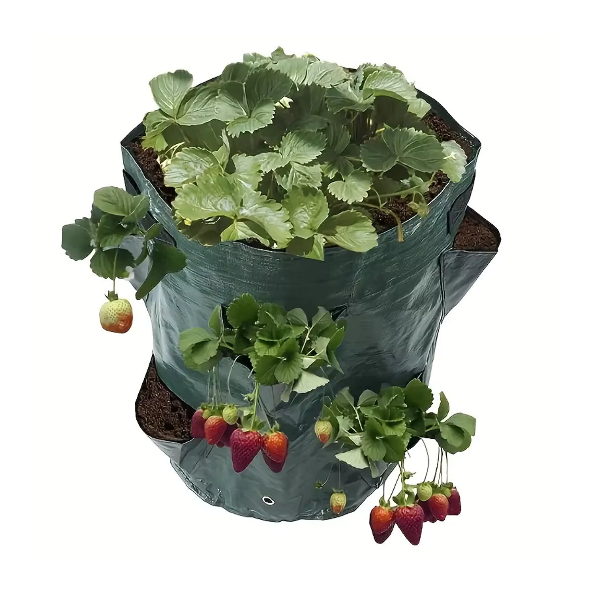 GXHPOAW Atmungsaktiver Pflanzbeutel aus Polyethylen für Erdbeeren und Pflanzen, 10 Gallonen - Bild 3