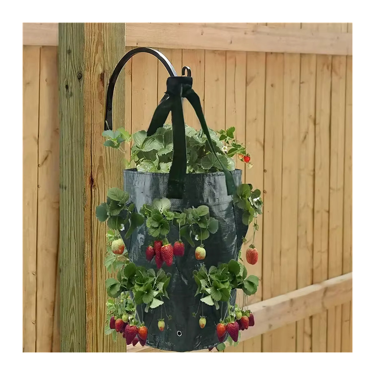 GXHPOAW Atmungsaktiver Pflanzbeutel aus Polyethylen für Erdbeeren und Pflanzen, 10 Gallonen - Bild 4