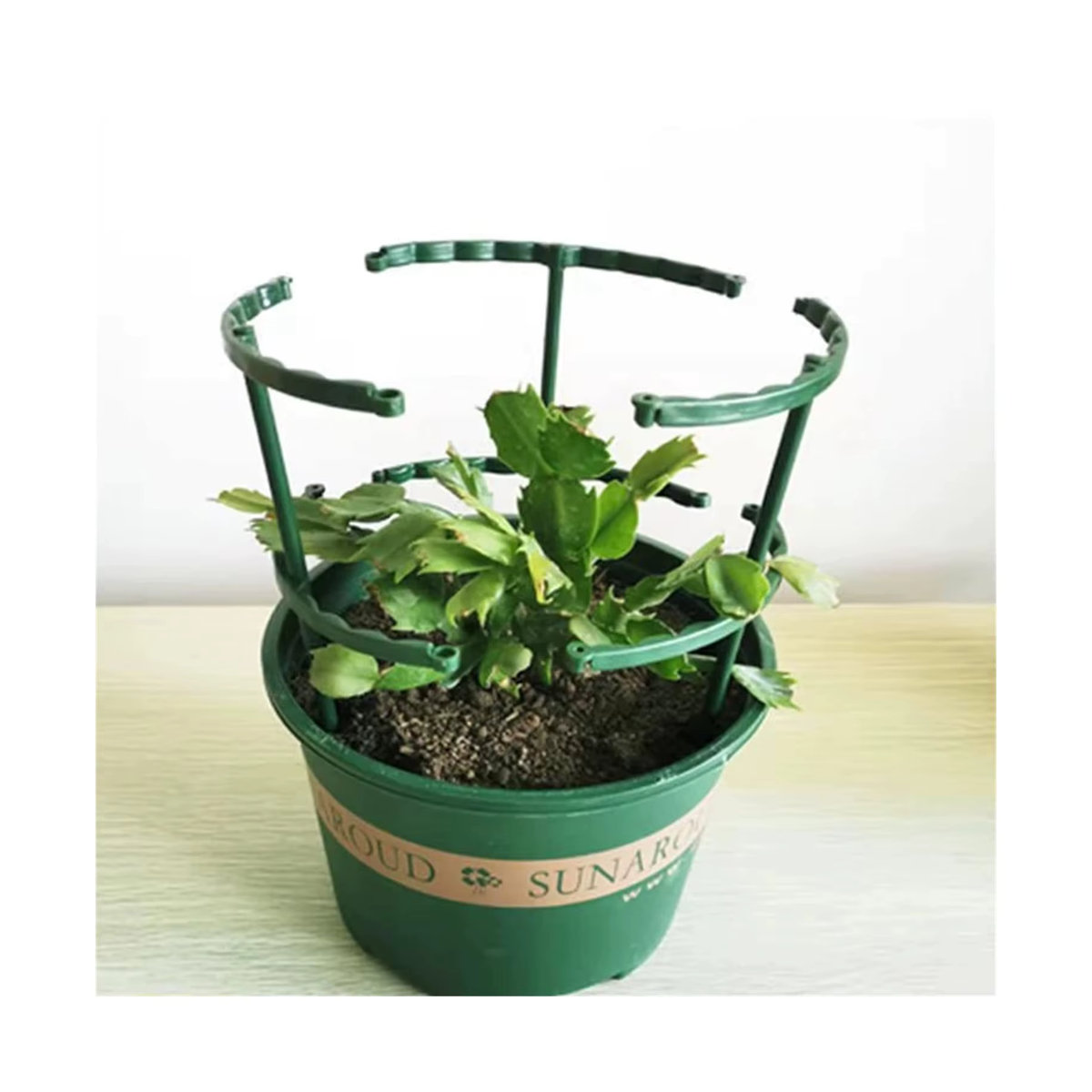 Halbkreis Pflanzenstütze aus Kunststoff für Gewächshäuser und Indoor-Pflanzen zur Kletterhilfe für Blumen und Reben - Bild 4