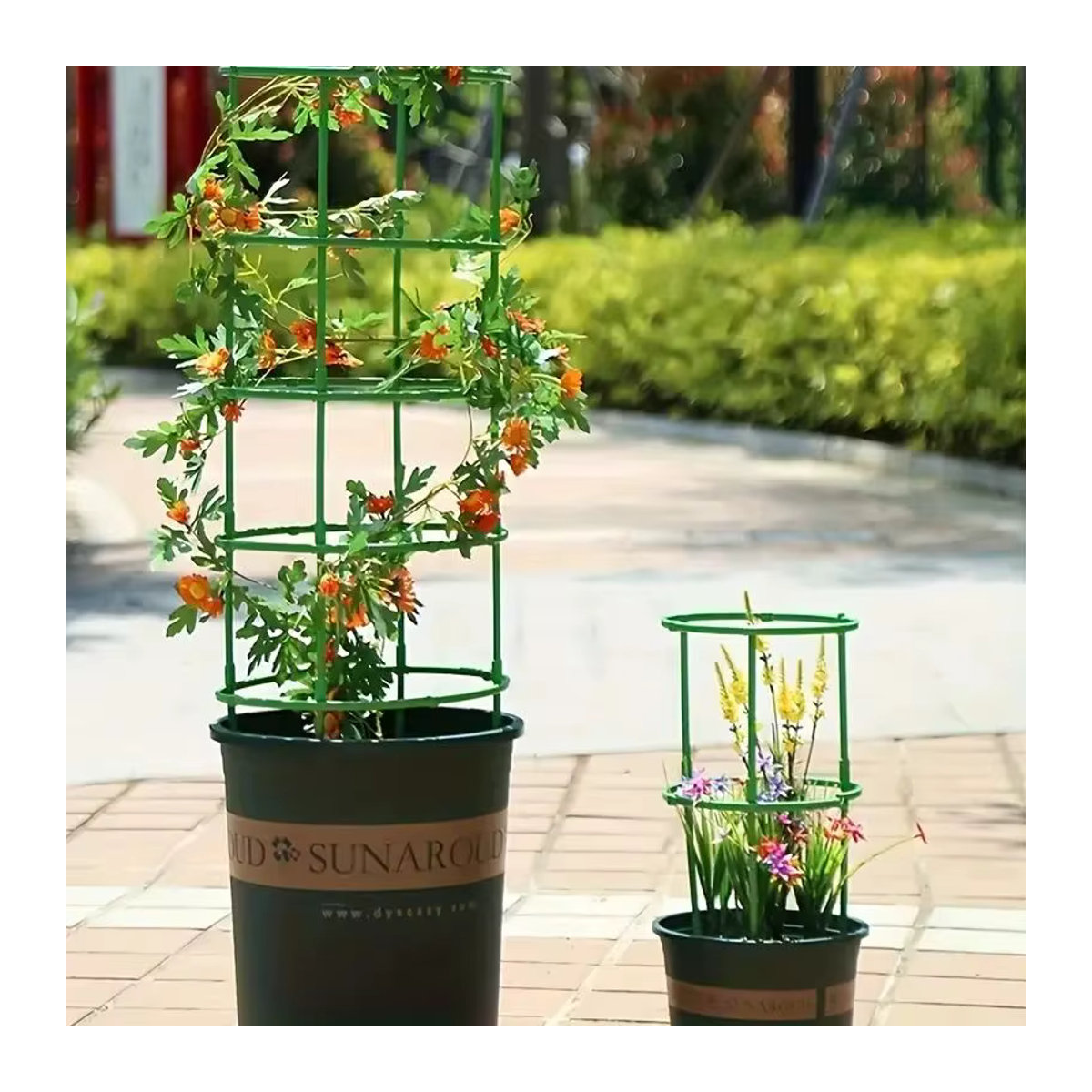 Halbkreis Spalier Pflanzenstützpfähle mit Stangenklammern für Topfpflanzen, Bonsai und Weinreben, 6-36 Stück - Bild 3