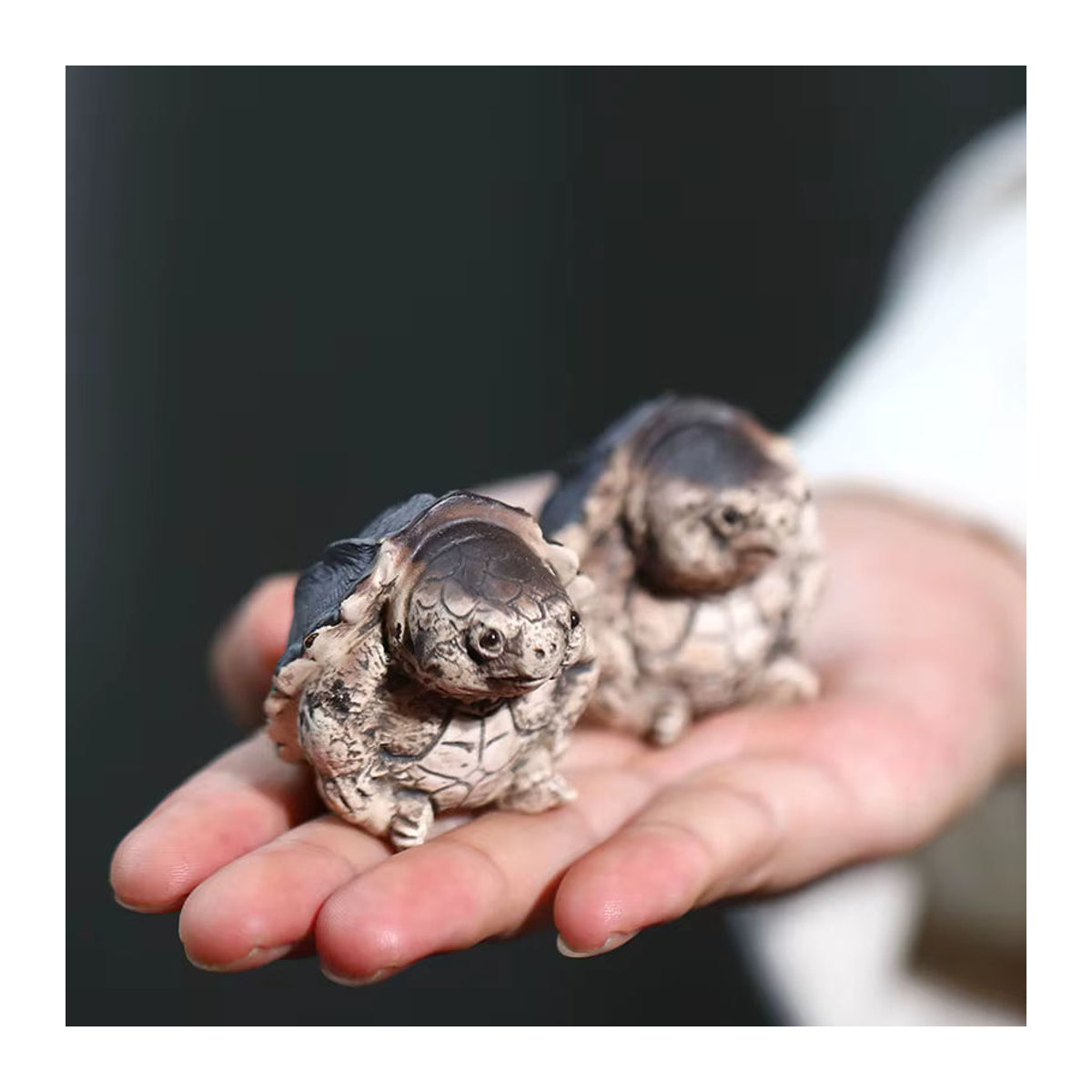 Handgemachte Keramik-Dekoration Schildkröte in Braun für deine Tee-Zeremonie und dein Tee-Set - Bild 4