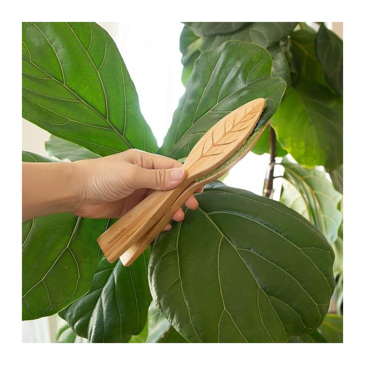Handheld Blatt-Reinigungstange aus Holz in Grün für die Pflanzenpflege und Gartenarbeit - Bild 1