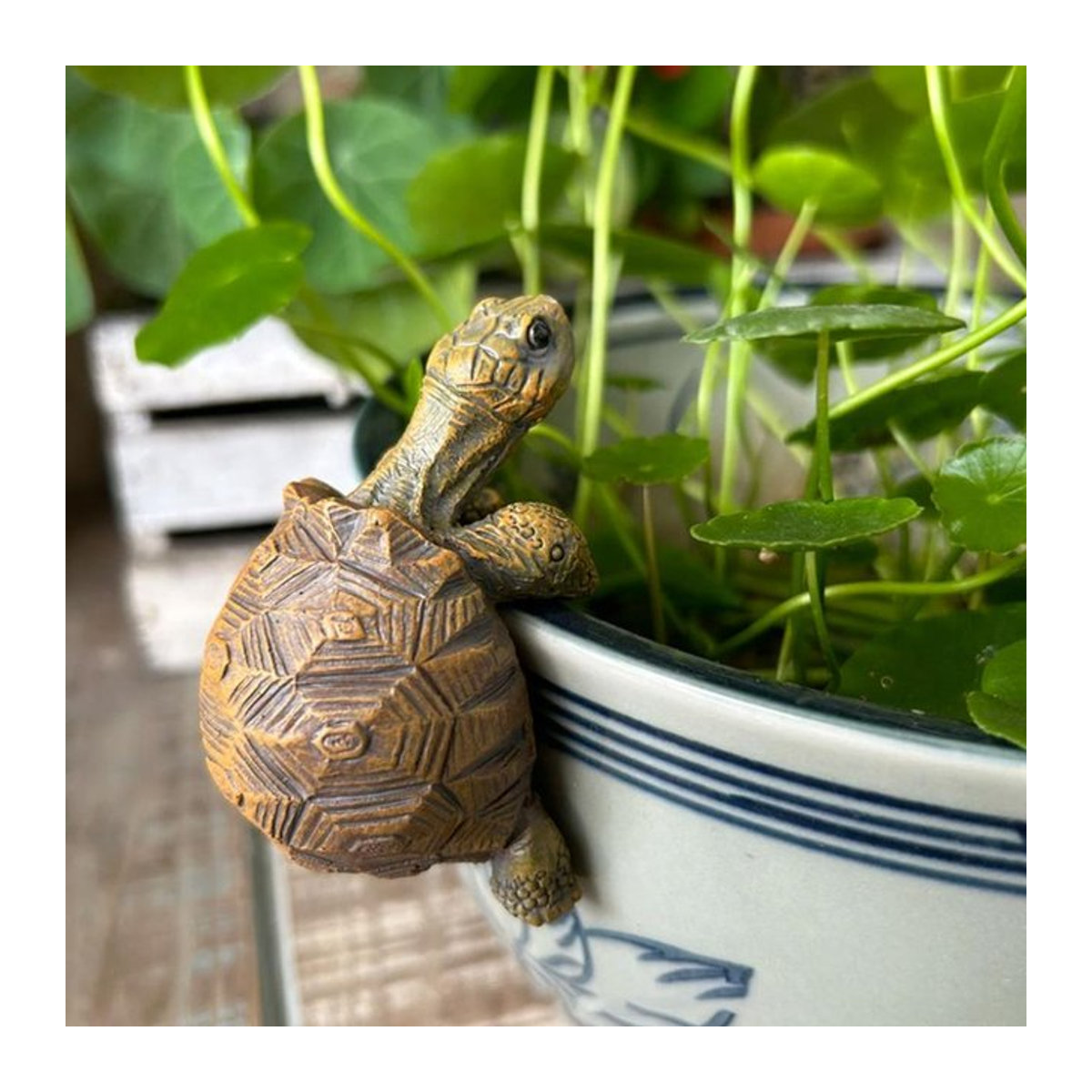 Hängender Blumentopf-Aufhänger mit Schildkrötenfigur aus Kunstharz in Braun - Bild 1