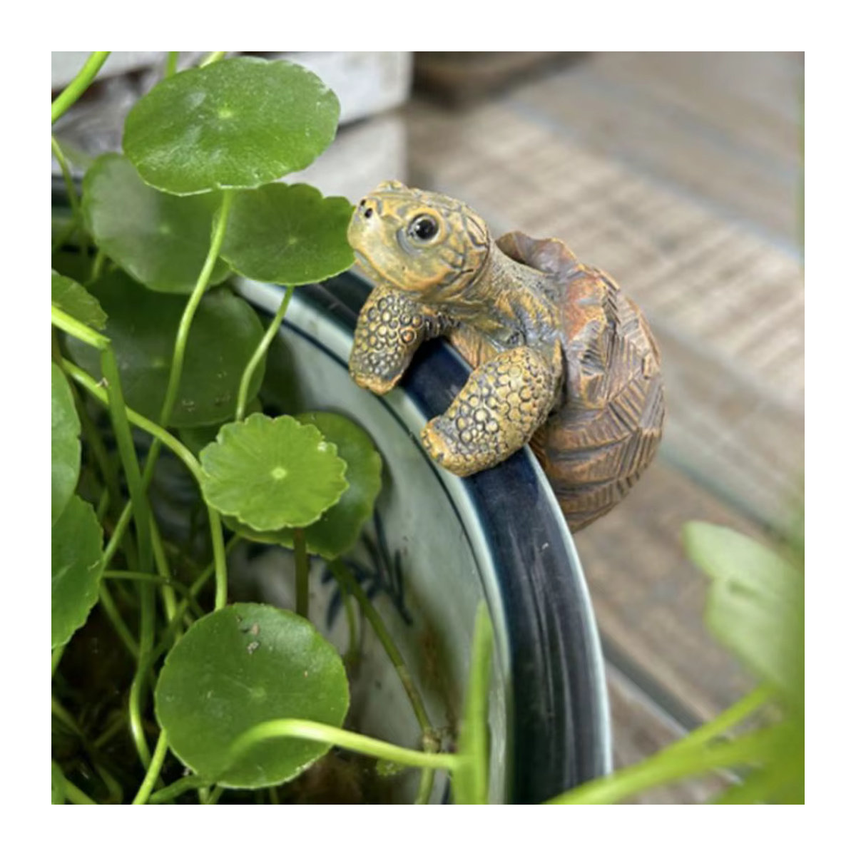 Hängender Blumentopf-Aufhänger mit Schildkrötenfigur aus Kunstharz in Braun - Bild 5