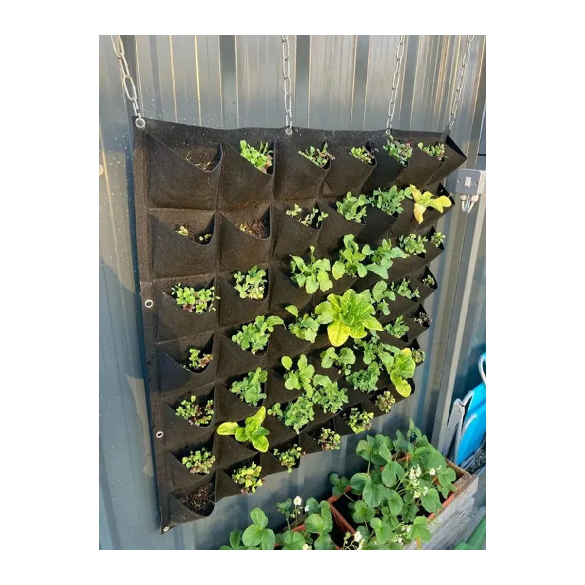 Hängender Filztopf in Grün für Gemüse, Kräuter und Erdbeeren mit 9 Pflanzplätzen für deinen Kräutergarten - Bild 5