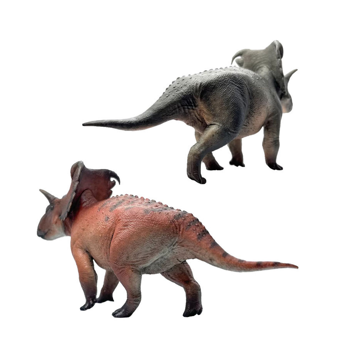HaoLongGood Kosmoceratops Richardsoni Dinosaurier Modellfigur aus Kunststoff, mehrfarbiges Jurassic Tier-Ornament - Bild 4