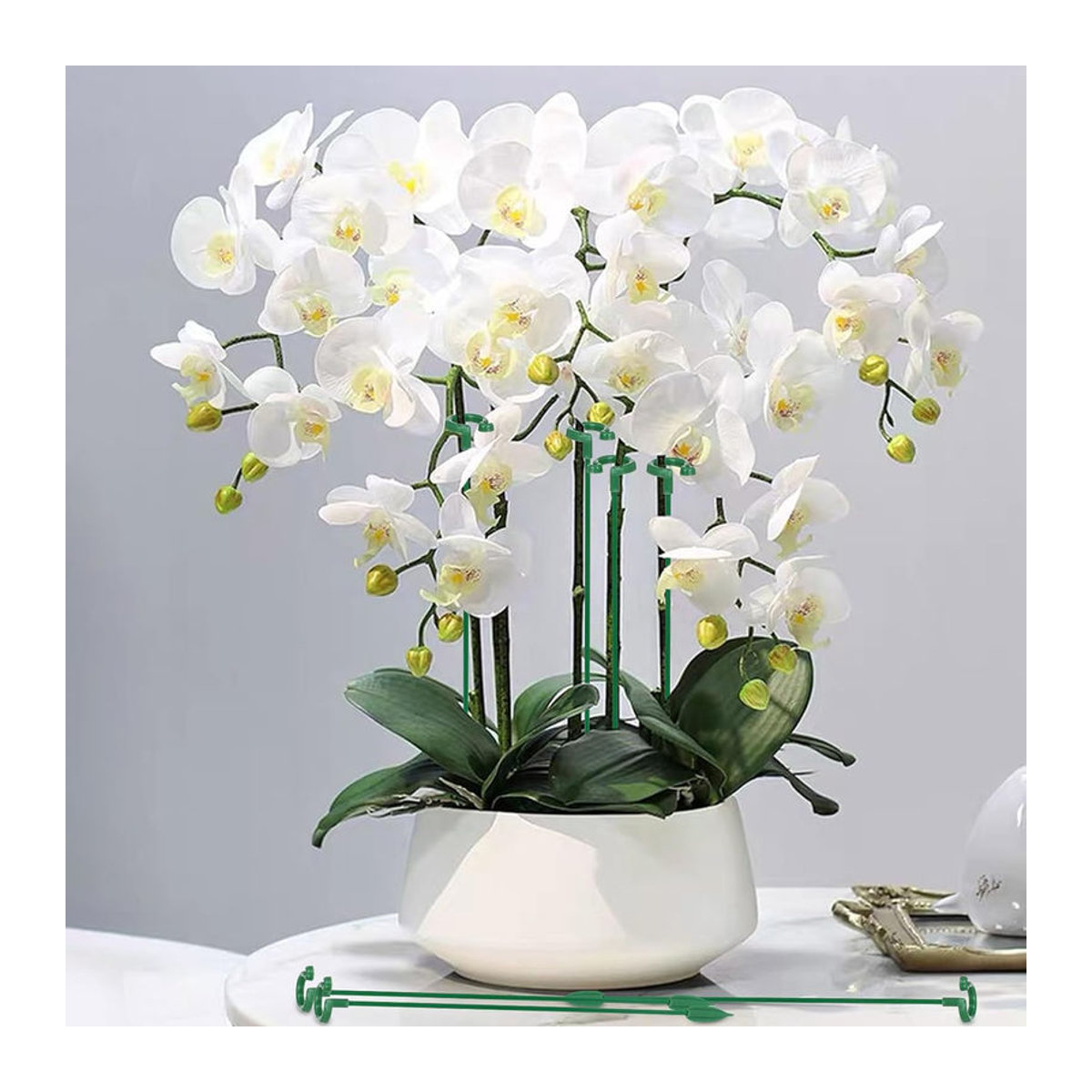 Happypilot 10er Set Geformte Stützstangen für Blumen und Topfpflanzen zur Stabilisierung und zum Blattschutz - Bild 5