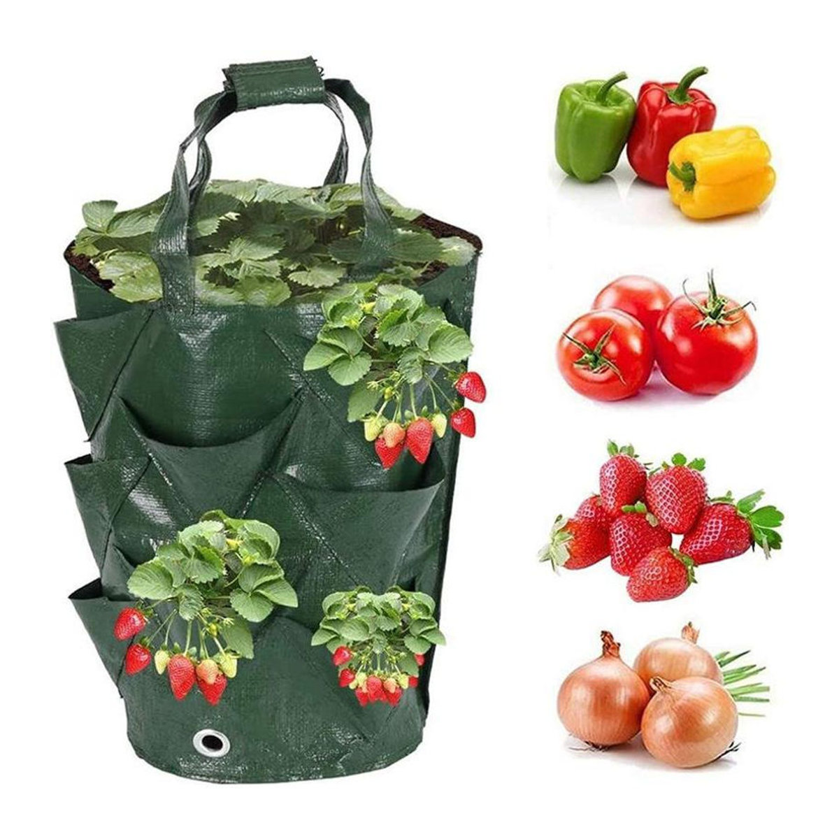 Happypilot Hängender Pflanzensack für Luftgarten, 3 Gallonen Pflanzkorb aus Kunststoff für Erdbeeren, Blumen und Pflanzen, erhältlich in Grün, Orange oder Gelb - Bild 7