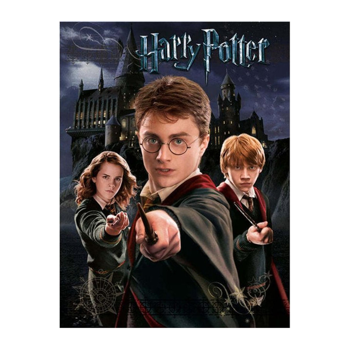 Harry Potter Hogwarts Leinwanddruck Porträt in Grau, Schwarz und Mehrfarbig, Breite: 40 cm - Bild 1