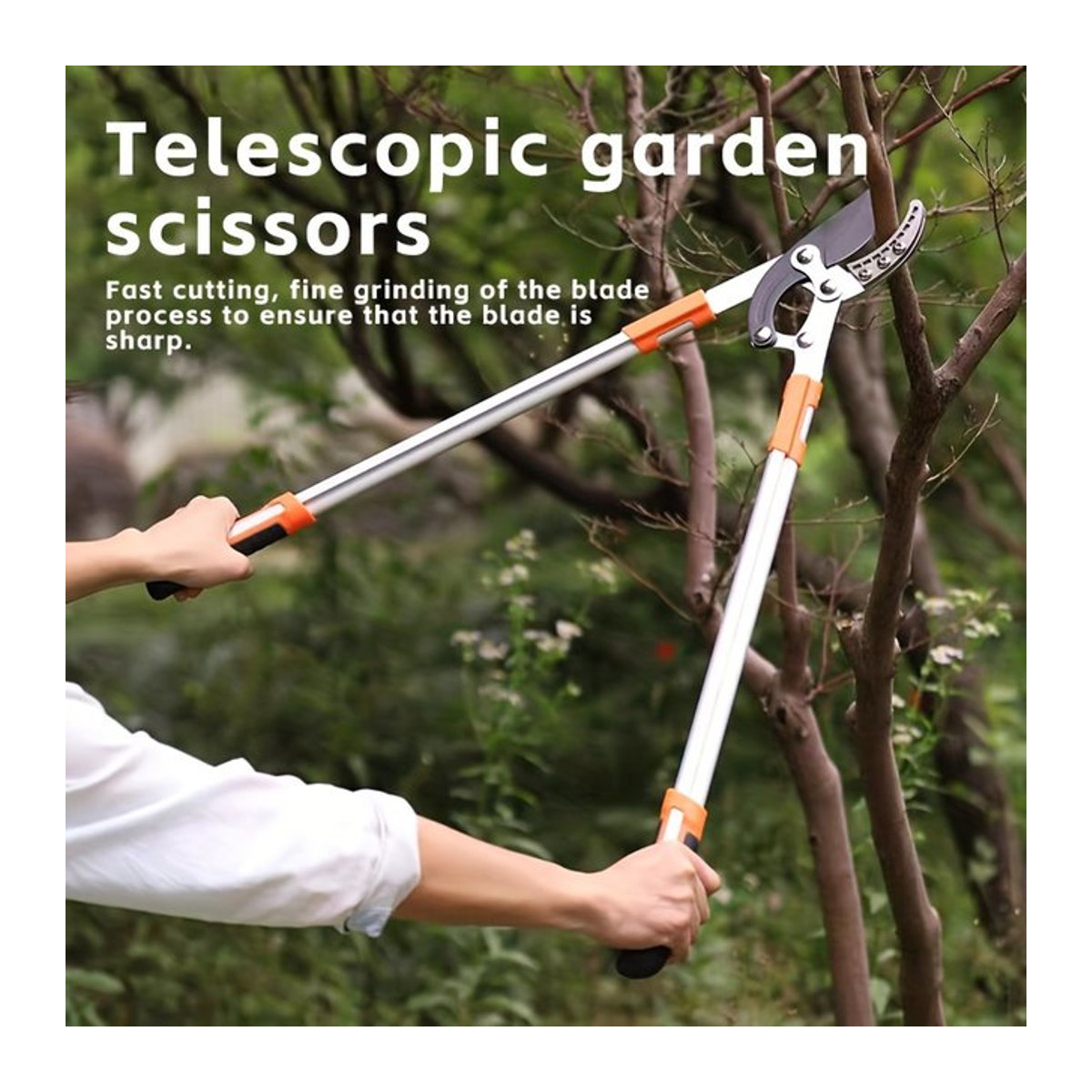 Heckenschere mit langem Stiel für Garten und Haushalt zur Heckenformung und zum Zweigeschneiden - Bild 1